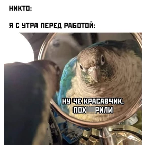 Для Переговоров — стикер для MAX