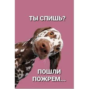 Мое — стикер для MAX