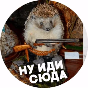 Мемчики — стикер для MAX