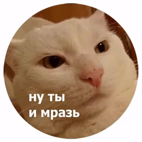 Мемчики — стикер для MAX