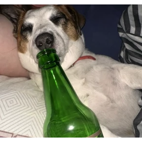 дуся — стикер для MAX