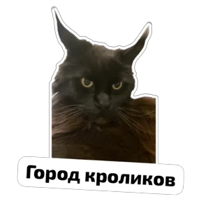 Крысиные — стикер для MAX