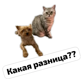 Крысиные — стикер для MAX