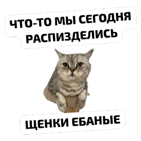 Крысиные — стикер для MAX