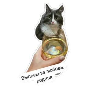 Крысиные — стикер для MAX
