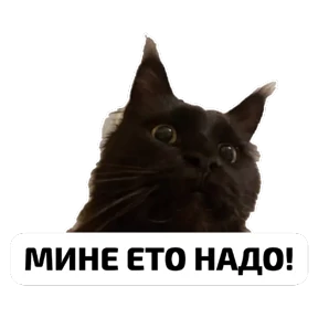 Крысиные — стикер для MAX