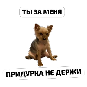 Крысиные — стикер для MAX