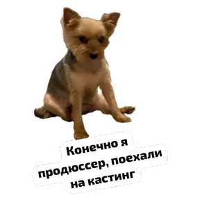 Крысиные — стикер для MAX