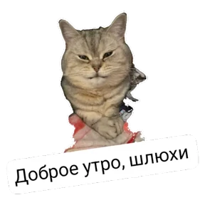 Крысиные — стикер для MAX