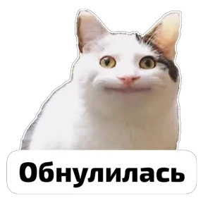 Крысиные — стикер для MAX