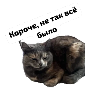 Крысиные — стикер для MAX