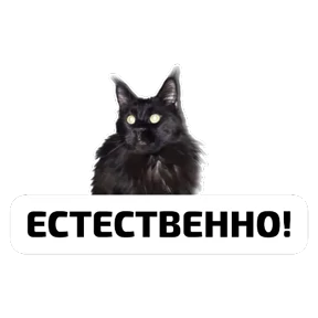 Крысиные — стикер для MAX