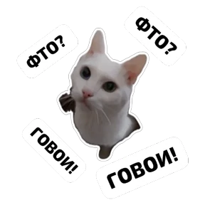 Крысиные — стикер для MAX