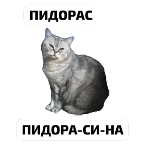 Крысиные — стикер для MAX
