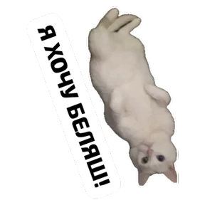 Крысиные — стикер для MAX