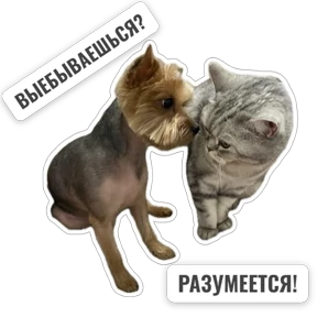 Крысиные — стикер для MAX