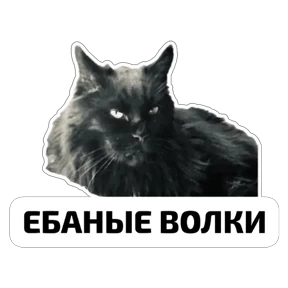 Крысиные — стикер для MAX
