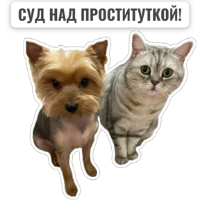 Крысиные — стикер для MAX