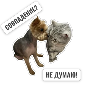 Крысиные — стикер для MAX