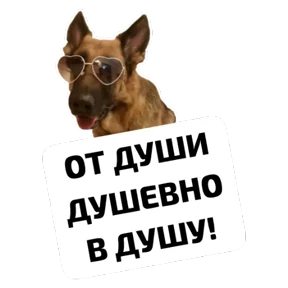 Крысиные — стикер для MAX