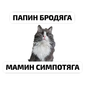 Крысиные — стикер для MAX