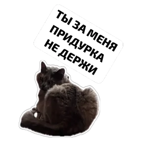 Крысиные — стикер для MAX