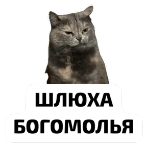 Крысиные — стикер для MAX