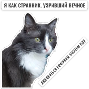 Крысиные — стикер для MAX