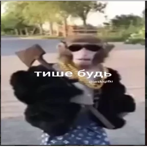 Ситуация — стикер для MAX