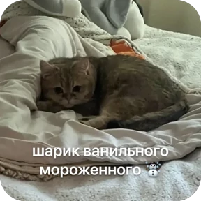 Булосьная полисия — стикер для MAX