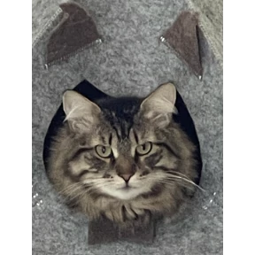 Федя — стикер для MAX