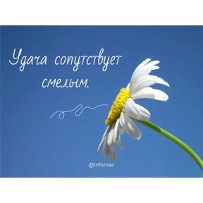 Лотерея — стикер для MAX
