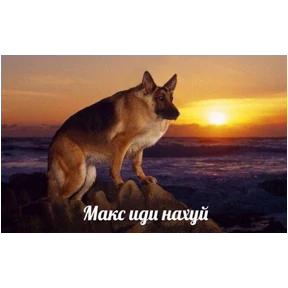 Ари — стикер для MAX