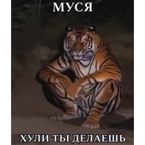 Ари — стикер для MAX