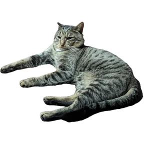 Гаврош — стикер для MAX