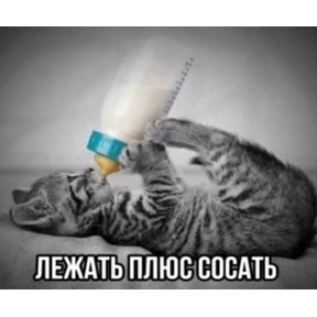Weird cards — стикер для MAX