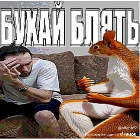 Проверочный — стикер для MAX