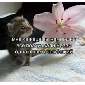 Микс — стикер для MAX
