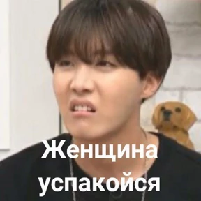 Various — стикер для MAX
