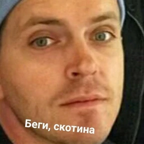 Various — стикер для MAX