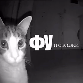 Стикерпак — стикер для MAX