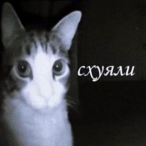 Стикерпак — стикер для MAX