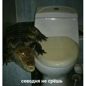 Стикерпак — стикер для MAX