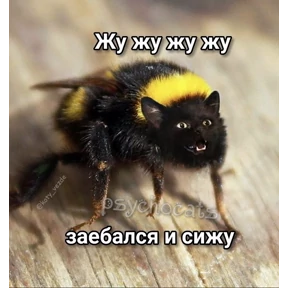 Стикерпак — стикер для MAX