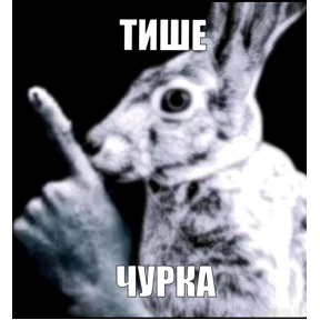 Стикерпак — стикер для MAX