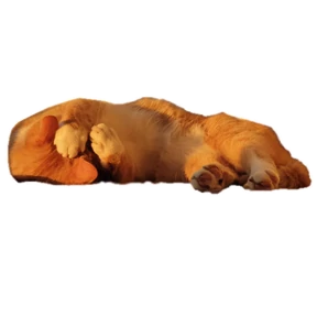 Korjik_Ku — стикер для MAX