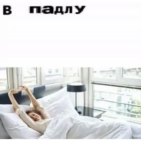 Дурдом — стикер для MAX