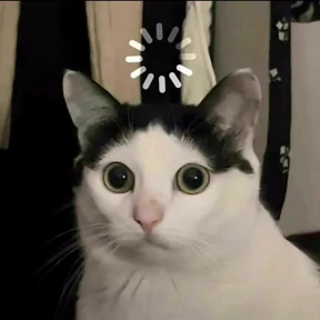 Котики — стикер для MAX