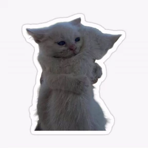 Котики — стикер для MAX