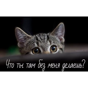 Пупс — стикер для MAX